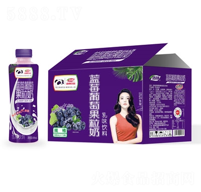 浩明藍莓葡萄果粒牛奶500mlX15
