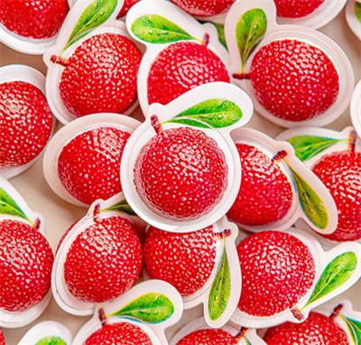 ��(m��ng)�����@�W(w��ng)�t��(chu��ng)��≺3D���͗�÷���e׷����ʳ�ǹ�