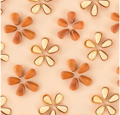 ���Nɢ�b���w���|���_����������