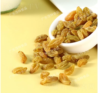 ï�����Ѹ����e�������T����