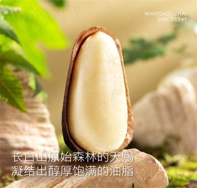 萬壽齋長白山紅松子禮盒東北特產(chǎn)堅果零食休閑食品