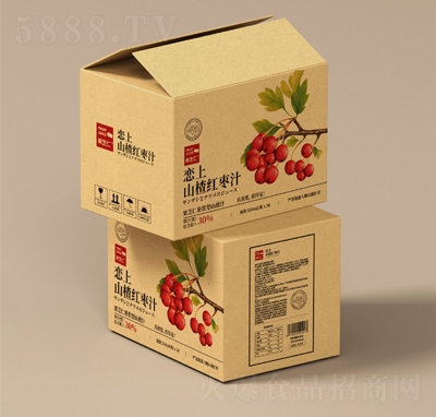 果芝仁果漿型山楂紅棗汁350ml×20瓶
