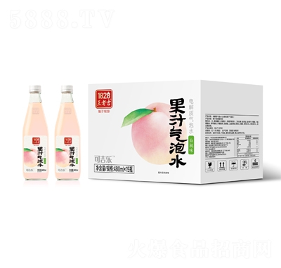 1828���ϼ���֭����ˮ����ζ480mlX15ƿ