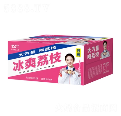 �٘�����ˬ��֦��ζ��ˮ490mlX15��