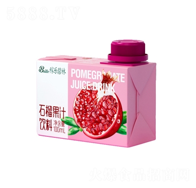 �ژ�����ʯ��֭100������֭���