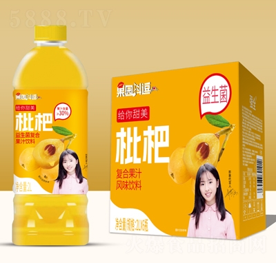 ���@�������ˏ�(f��)�Ϲ�֭���2LX6ƿ