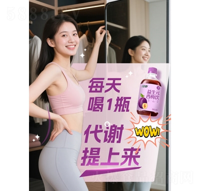 江中益生元西梅飲500ml