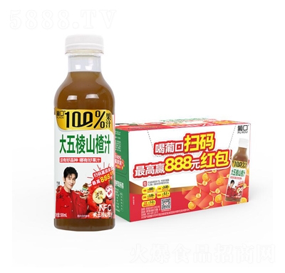 �Ͽ�100%������ɽ�֭ 500ml��15