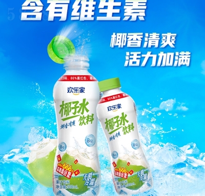 歡樂家椰子水飲料500ml椰青水