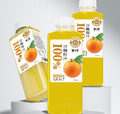 ��С��ɳ�ǽ�֭��֭���500ml