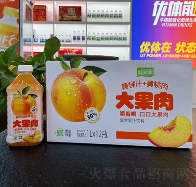 ���Դ�S��֭+�S���������(f��)�Ϲ�֭���1LX12ƿ