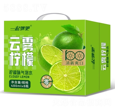 һٰFʚˮ480mlX8ƿ