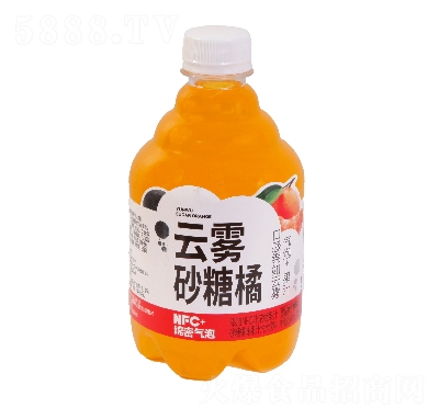 rFɰٹ֭ˮ500ml