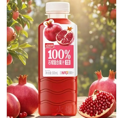���Դ100%ʯ���(f��)�Ϲ�֭500ml