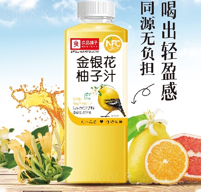 Ʒ?zhn)ӽy֭(f)Ϲ֭500ml