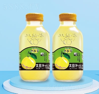 �p�ֹ��ĵ�֭��(f��)�Ϲ�֭���310g