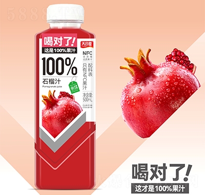 ���¶100%ʯ��֭��֭���500ml