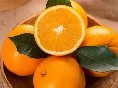 臍橙與普通的甜橙有哪些不同？