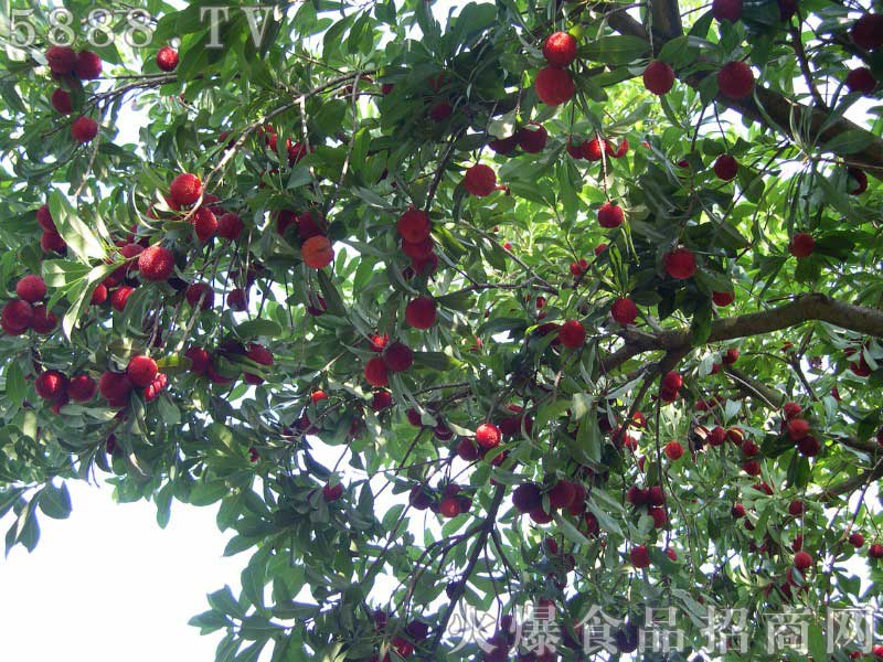 ��(sh��)���