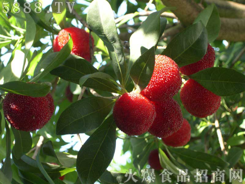 ���̼���