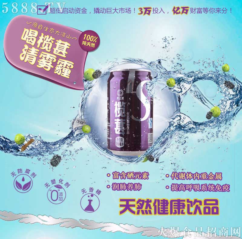 欖葚加盟政策_01