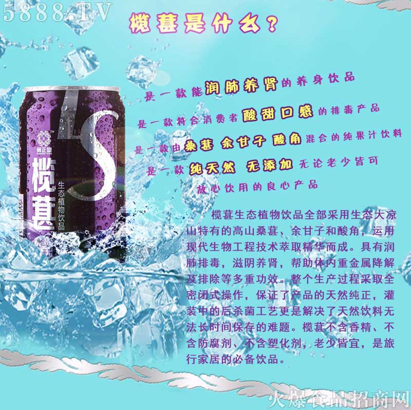 欖葚加盟政策_03