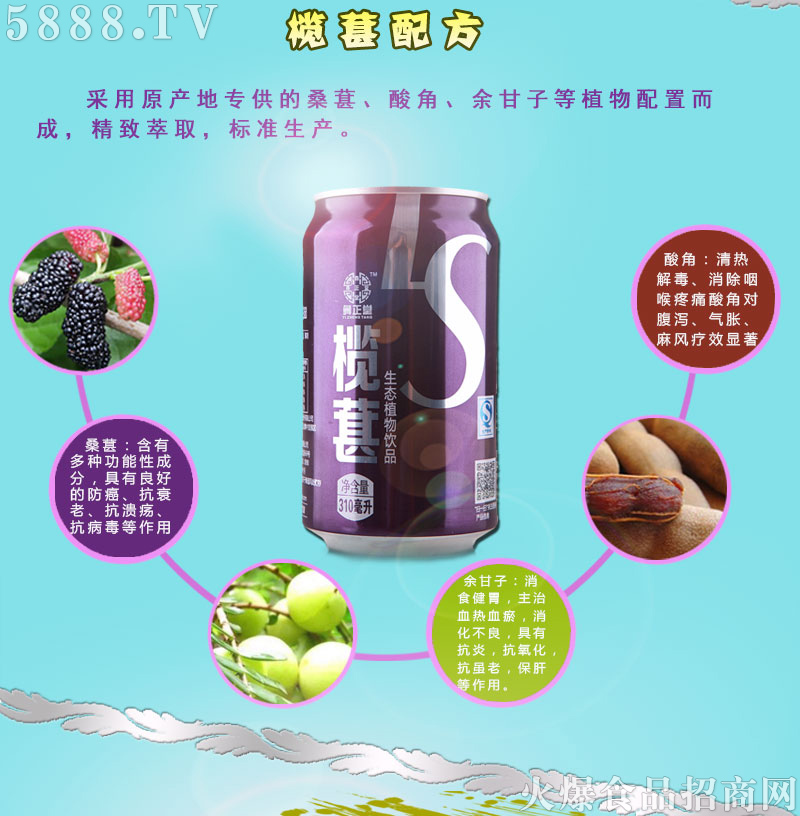 欖葚加盟政策_04