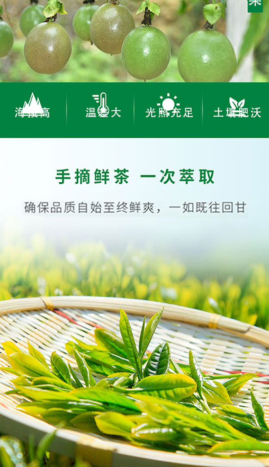 尋茶味青梅綠茶430mlx15 尋茶味青梅綠茶430mlx15