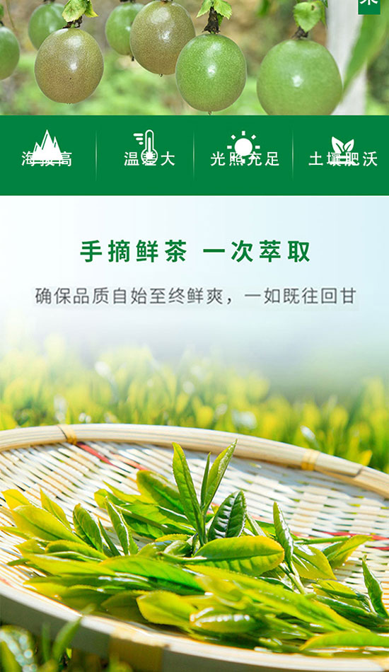 尋茶味百香果紅茶 尋茶味百香果紅茶