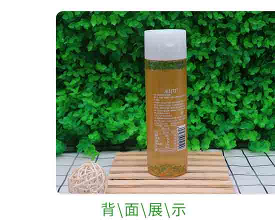 椰泰小輕甘甘菊金銀花露 椰泰小輕甘甘菊金銀花露