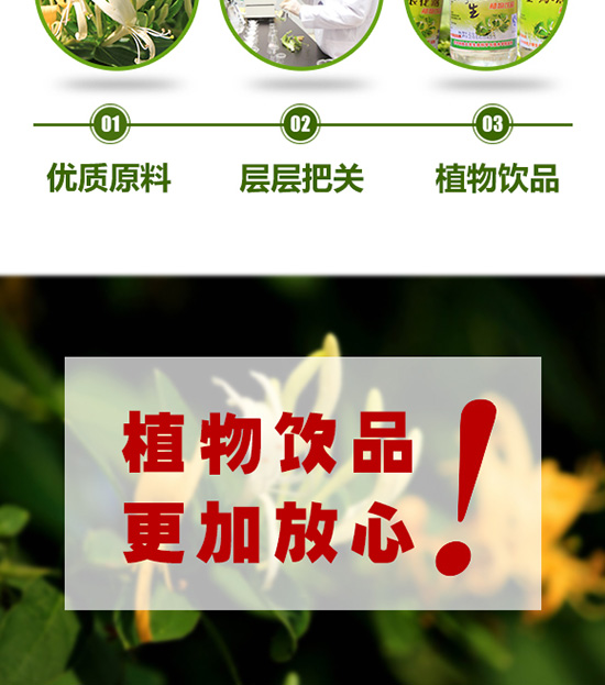 楚神金銀花露植物飲料 楚神金銀花露植物飲料