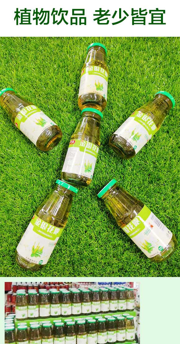 金銀花露天然植物飲品 金銀花露天然植物飲品