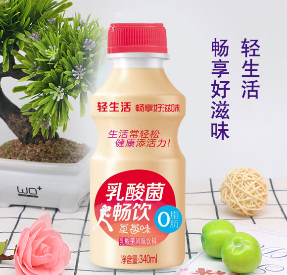 暢飲草莓味乳酸菌風(fēng)味飲料340ml 暢飲草莓味乳酸菌風(fēng)味飲料340ml