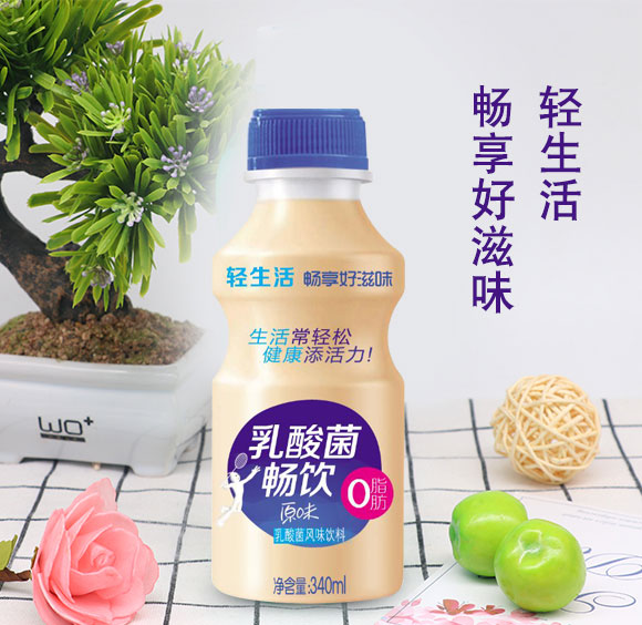 暢飲原味乳酸菌風(fēng)味飲料340ml 暢飲原味乳酸菌風(fēng)味飲料340ml