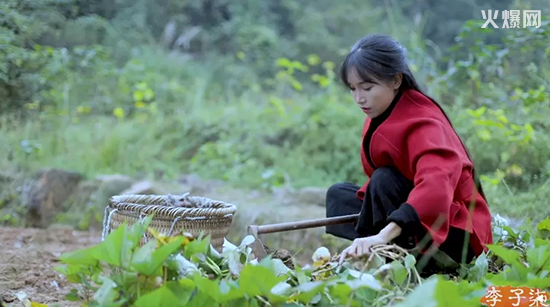 ����ʳƷ��˾����������ʽ�M(j��n)��ʳƷȦ��