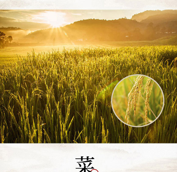 ����ԥԪʳƷ���޹�˾-�����04_04