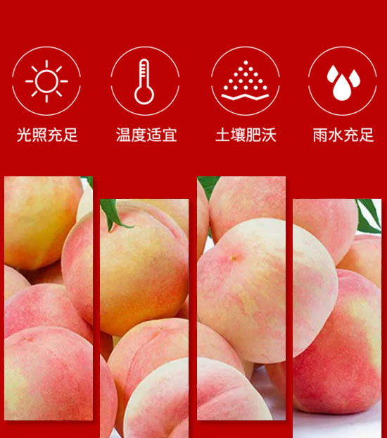 �����ȫ�RʳƷ������޹�˾-��֭19_04