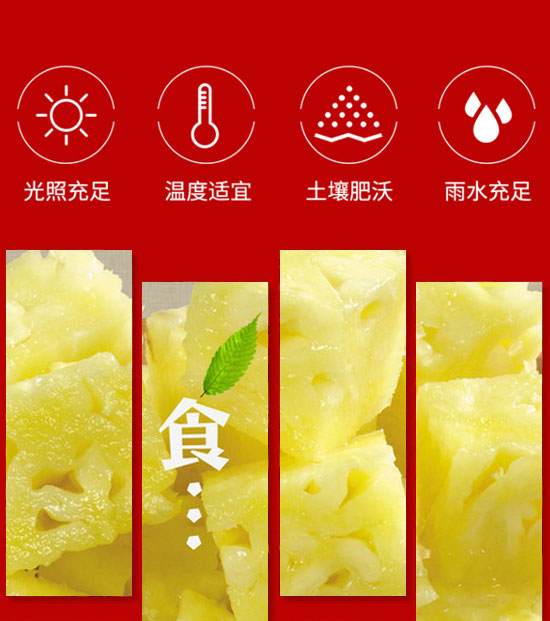 �����ȫ�RʳƷ������޹�˾-��֭15_04