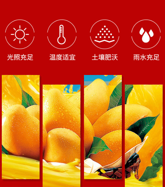 �����ȫ�RʳƷ������޹�˾-��֭13_04