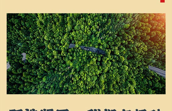 ���������ք��͵�ľ_05