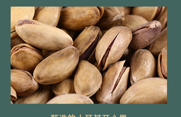 ���������}�h�_�Ĺ�_08