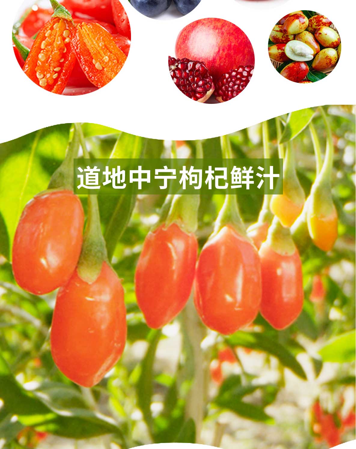 200mL��轏�(f��)�Ϲ�֭���Ԕ���(y��)_03