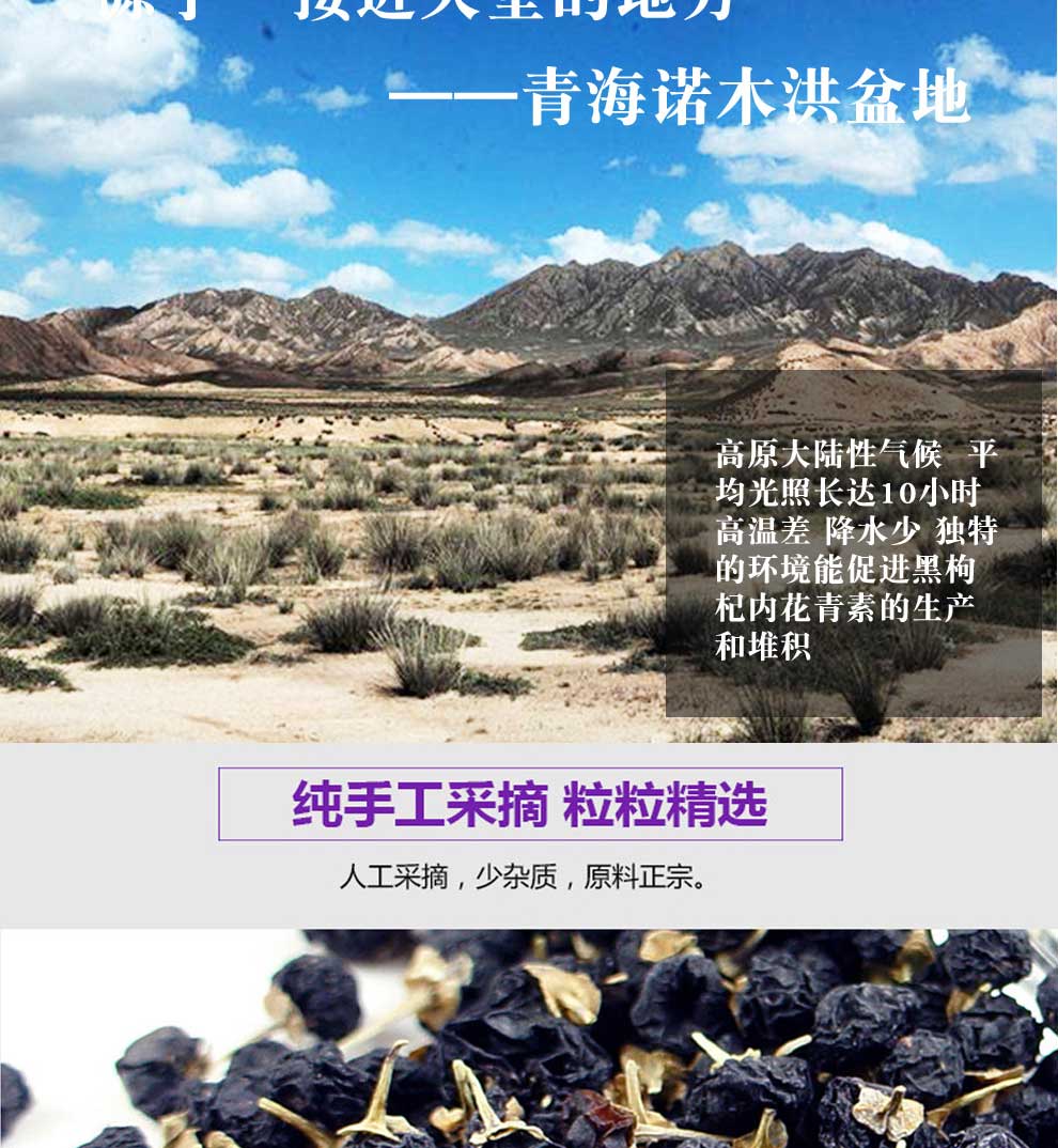 100g����轶Y��Ԕ���_03