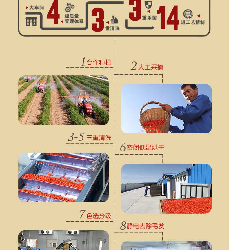 210g�o�r(n��ng)��Ԕ���_05