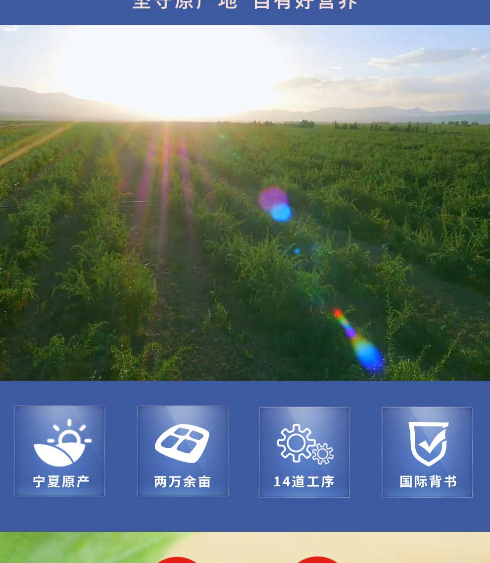 480g�o�r����轶Y��Ԕ���_02