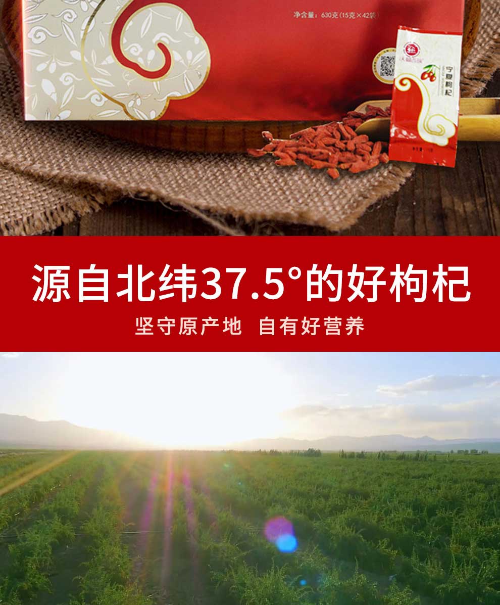 630g������轶Y��Ԕ���_02