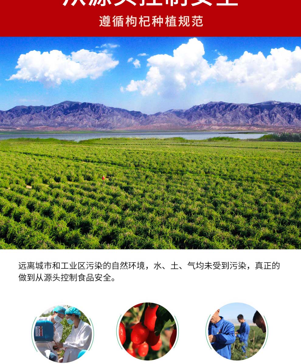 630g������轶Y��Ԕ���_05