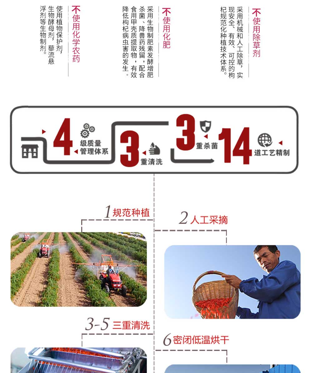 630g������轶Y��Ԕ���_06