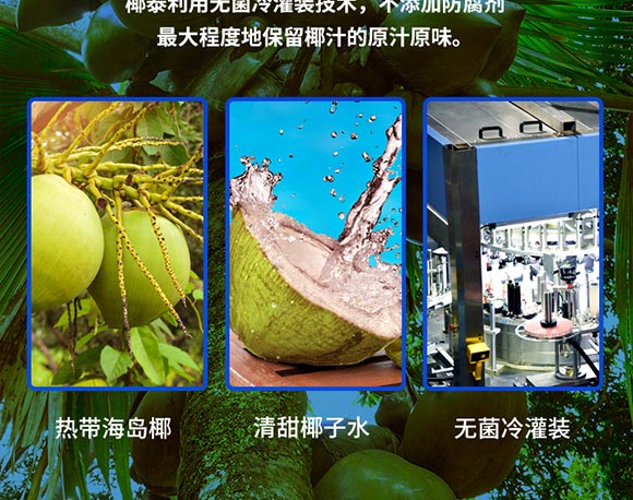 Ҭ̩Ҭ��ֲ֭�ﵰ�����