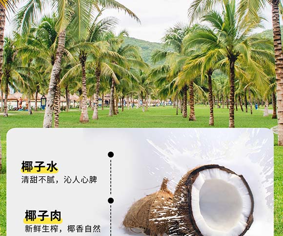 �_������Ҭ���F�������